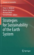 Strategies for Sustainability of the Earth System