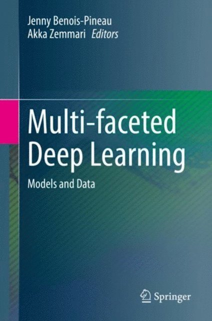 Akka Zemmari, Jenny Benois-Pineau - Multi-faceted Deep Learning, E-bok