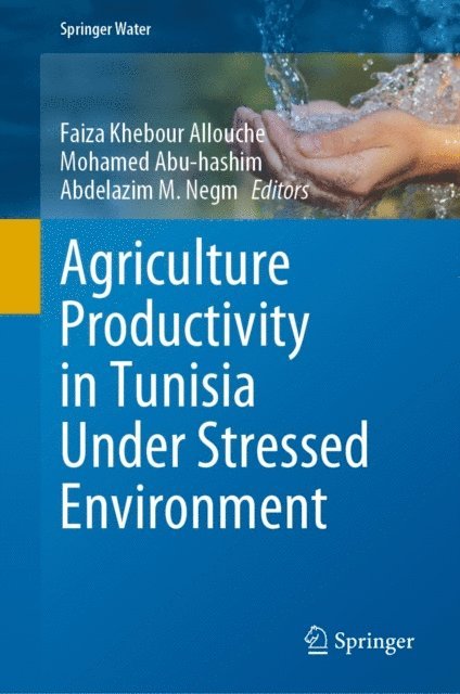 Abdelazim M. Negm, Mohamed Abu-hashim, Faiza Khebour Allouche - Agriculture Productivity in Tunisia Under Stressed Environment, E-bok