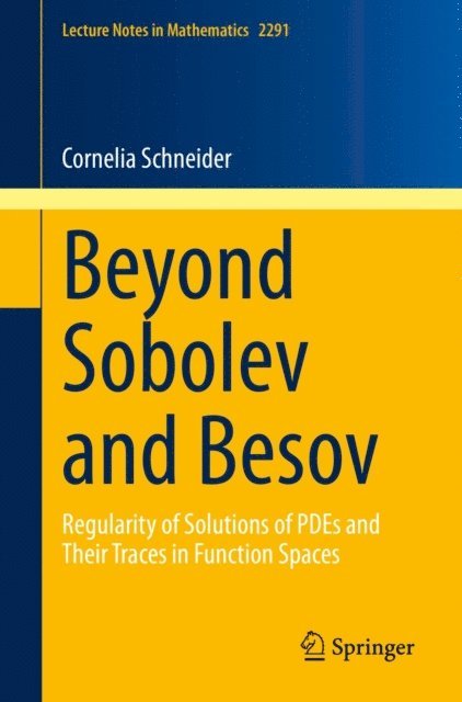 Cornelia Schneider - Beyond Sobolev and Besov, E-bok