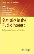 Statistics in the Public Interest