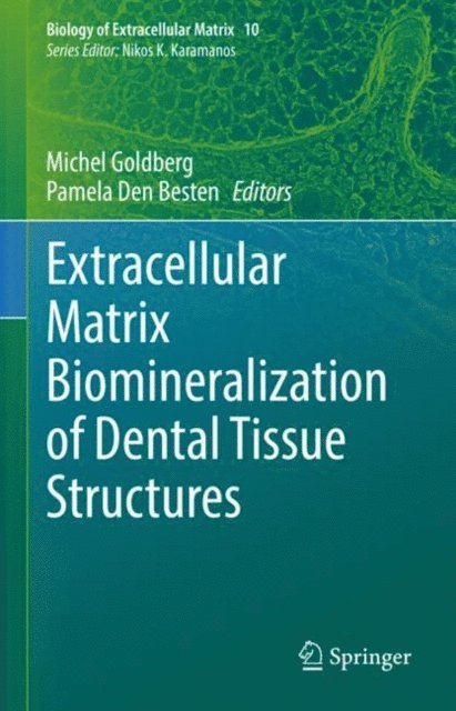 Pamela Den Besten, Michel Goldberg - Extracellular Matrix Biomineralization of Dental Tissue Structures, E-bok