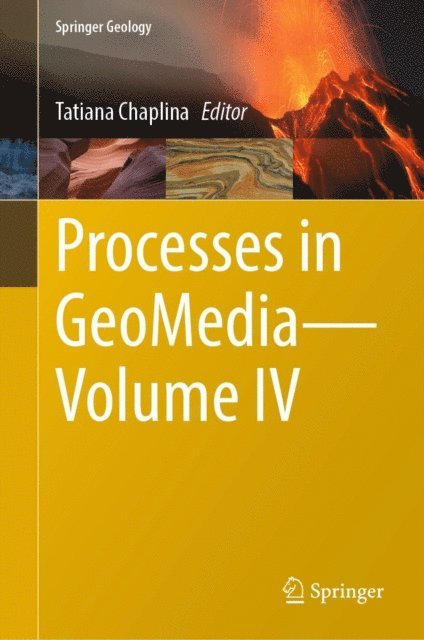 Tatiana Chaplina - Processes in GeoMedia-Volume IV, E-bok
