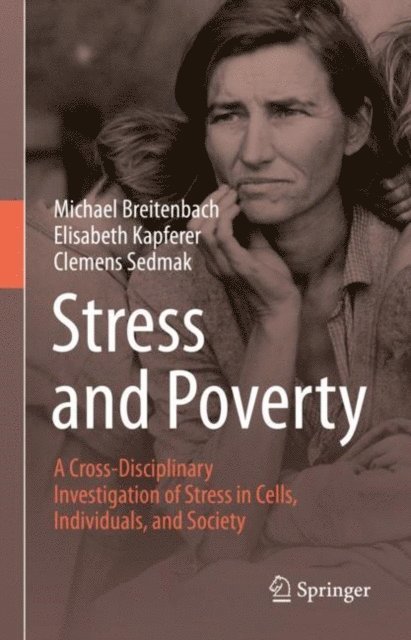 Clemens Sedmak, Elisabeth Kapferer, Michael Breitenbach - Stress and Poverty, E-bok