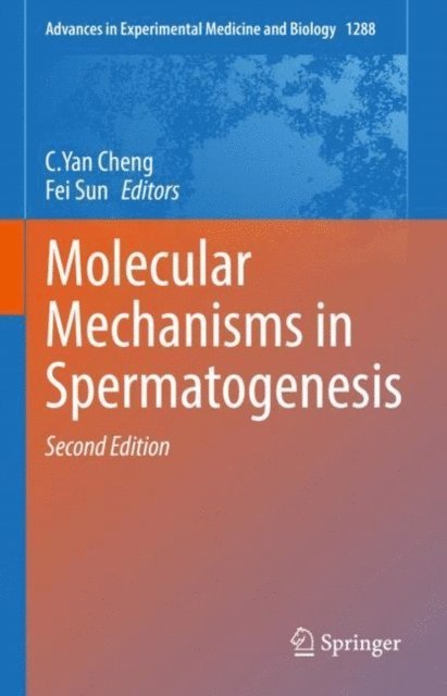 Fei Sun, C.Yan Cheng - Molecular Mechanisms in Spermatogenesis, E-bok