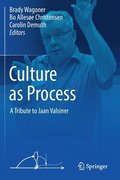 Culture as Process