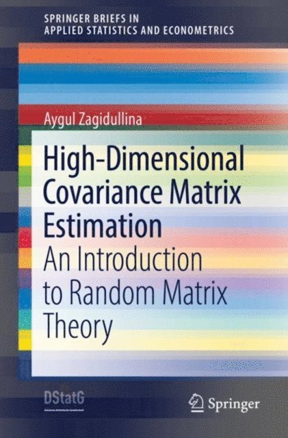 Aygul Zagidullina - High-Dimensional Covariance Matrix Estimation, E-bok
