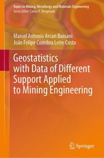 Joao Felipe Coimbra Leite Costa, Marcel Antonio Arcari Bassani - Geostatistics with Data of Different Support Applied to Mining Engineering, E-bok