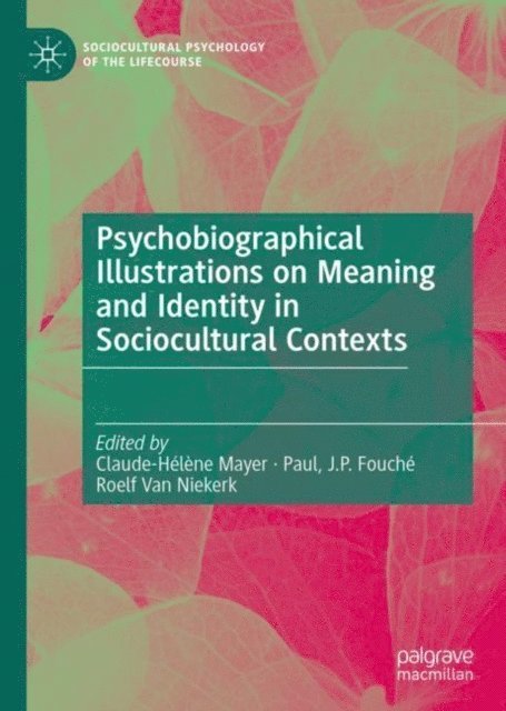 Roelf Van Niekerk, J.P. Fouche, Paul, Claude-Helene Mayer - Psychobiographical Illustrations on Meaning and Identity in Sociocultural Contexts, E-bok