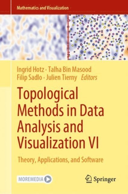 Julien Tierny, Filip Sadlo, Talha Bin Masood, Ingrid Hotz - Topological Methods in Data Analysis and Visualization VI, E-bok