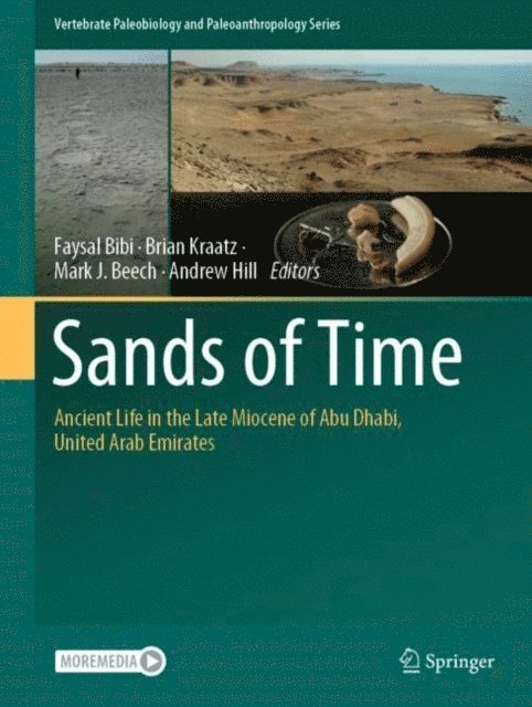 Andrew Hill, Mark J. Beech, Brian Kraatz, Faysal Bibi - Sands of Time, E-bok