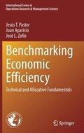 Benchmarking Economic Efficiency