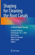 Shaping for Cleaning the Root Canals