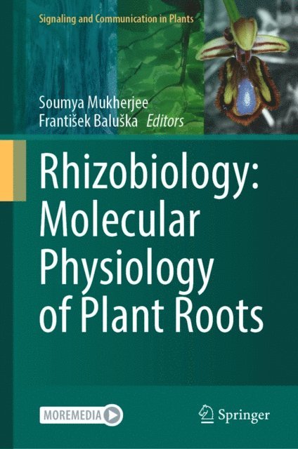 Frantisek Baluska, Soumya Mukherjee - Rhizobiology: Molecular Physiology of Plant Roots, E-bok
