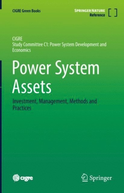 Gerald Sanchis, Eric Rijks, Christopher Reali, Jody Levine, Earl S. Hill, Gary L. Ford, Graeme Ancell - Power System Assets, E-bok