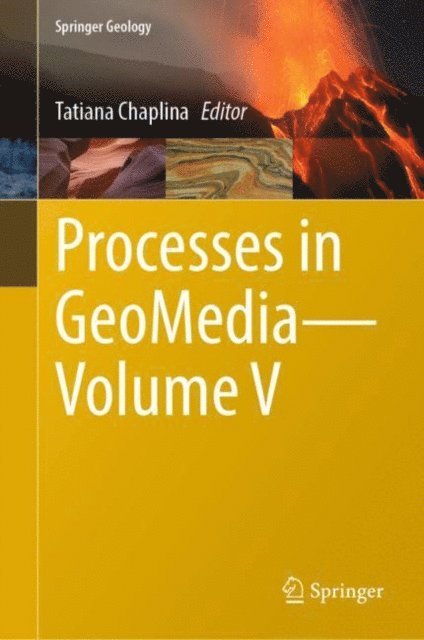 Tatiana Chaplina - Processes in GeoMedia-Volume V, E-bok