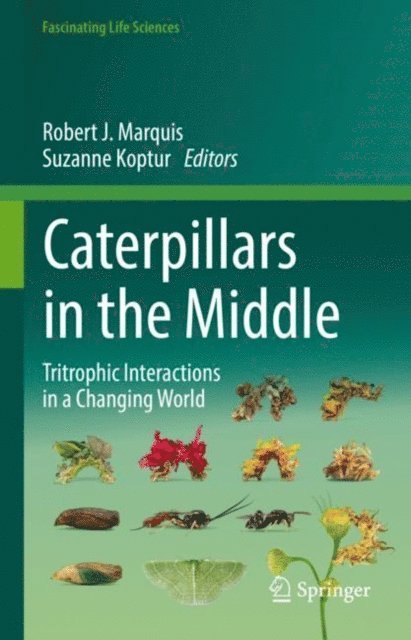 Suzanne Koptur, Robert J. Marquis - Caterpillars in the Middle, E-bok