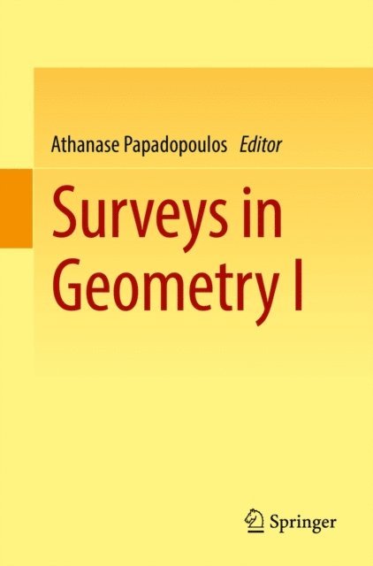 Athanase Papadopoulos - Surveys in Geometry I, E-bok