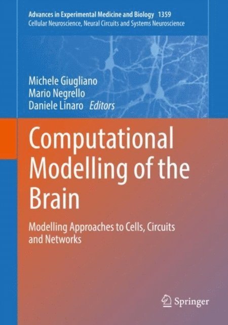 Daniele Linaro, Mario Negrello, Michele Giugliano - Computational Modelling of the Brain, E-bok
