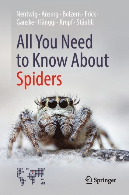 Anna Staubli, Christian Kropf, Ambros Hanggi, Anne-Sarah Ganske, Holger Frick, Angelo Bolzern, Jutta Ansorg, Wolfgang Nentwig - All You Need to Know About Spiders, E-bok