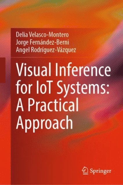 Angel Rodriguez-Vazquez, Jorge Fernandez-Berni, Delia Velasco-Montero - Visual Inference for IoT Systems: A Practical Approach, E-bok