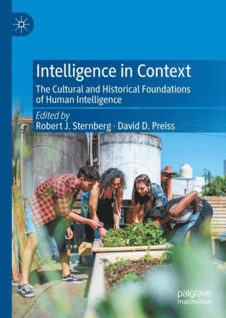 David D. Preiss, Robert J. Sternberg - Intelligence in Context, E-bok