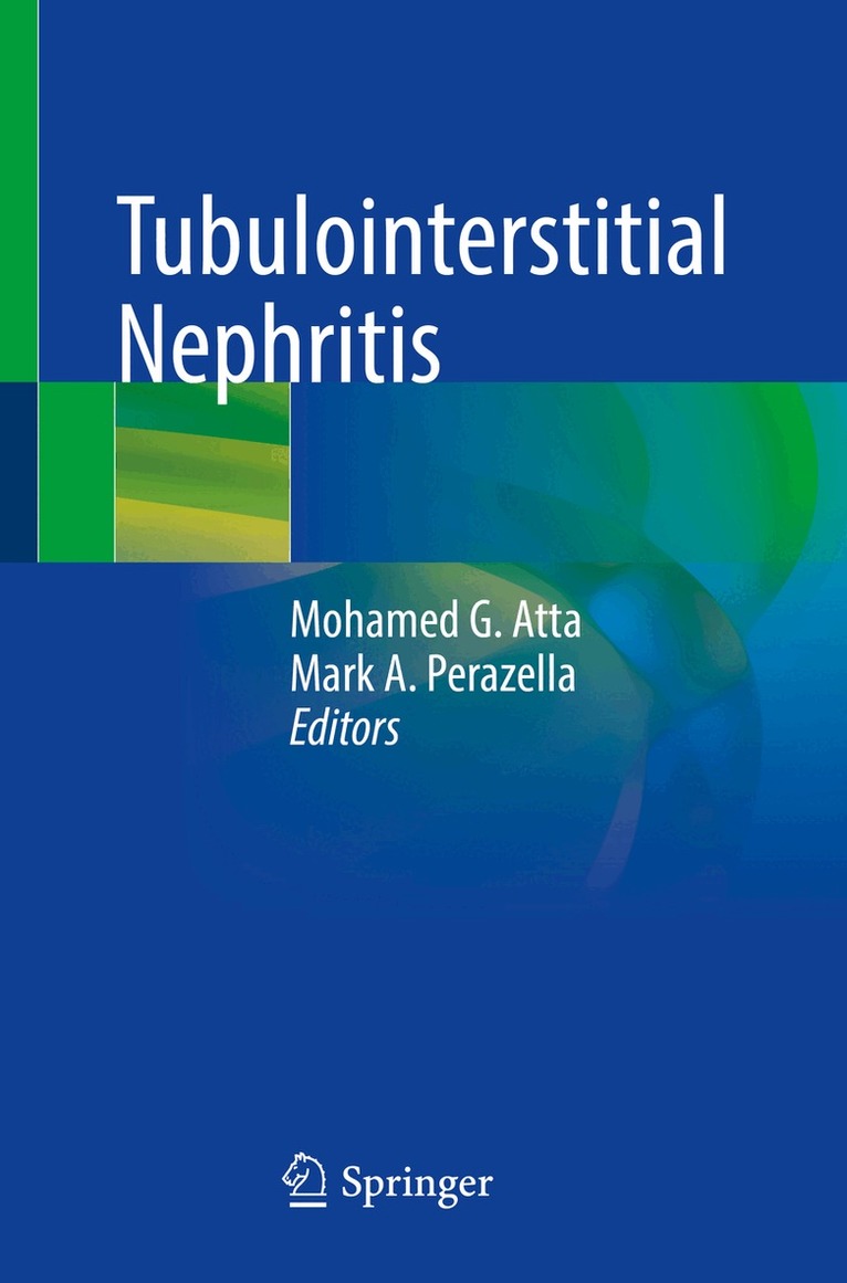 Mohamed G. Atta, Mark A. Perazella - Tubulointerstitial Nephritis, Häftad