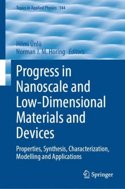 Norman J. M. Horing, Hilmi Unlu - Progress in Nanoscale and Low-Dimensional Materials and Devices, E-bok