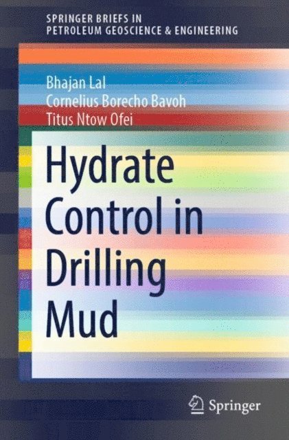 Titus Ntow Ofei, Cornelius Borecho Bavoh, Bhajan Lal - Hydrate Control in Drilling Mud, E-bok