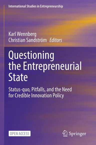 Questioning the Entrepreneurial State