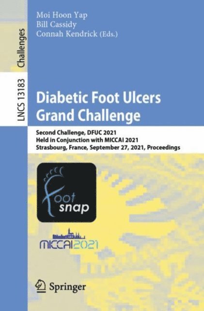 Connah Kendrick, Bill Cassidy, Moi Hoon Yap - Diabetic Foot Ulcers Grand Challenge, E-bok