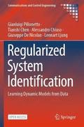 Regularized System Identification