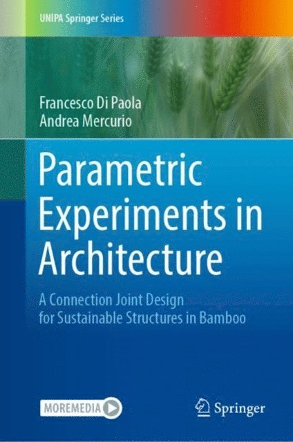 Andrea Mercurio, Francesco Di Paola - Parametric Experiments in Architecture, E-bok
