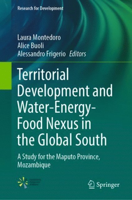 Alessandro Frigerio, Alice Buoli, Laura Montedoro - Territorial Development and Water-Energy-Food Nexus in the Global South, E-bok