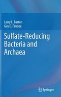 Sulfate-Reducing Bacteria and Archaea