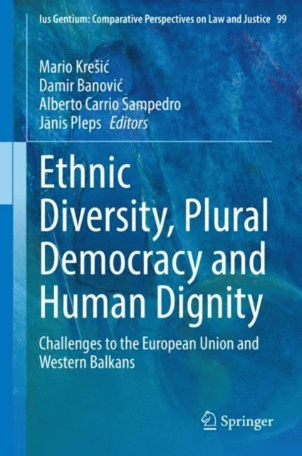 Janis Pleps, Alberto Carrio Sampedro, Damir Banovic, Mario Kresic - Ethnic Diversity, Plural Democracy and Human Dignity, E-bok