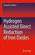 Hydrogen Assisted Direct Reduction of Iron Oxides