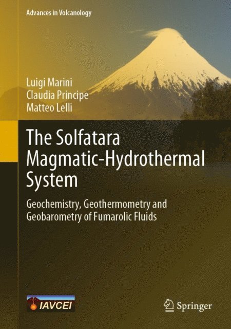 Matteo Lelli, Claudia Principe, Luigi Marini - Solfatara Magmatic-Hydrothermal System, E-bok