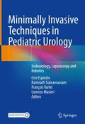 Minimally Invasive Techniques in Pediatric Urology
