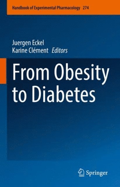 Karine Clement, Juergen Eckel - From Obesity to Diabetes, E-bok