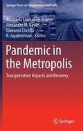 Pandemic in the Metropolis