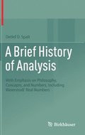 A Brief History of Analysis