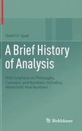 Brief History of Analysis