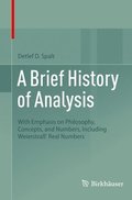 Brief History of Analysis