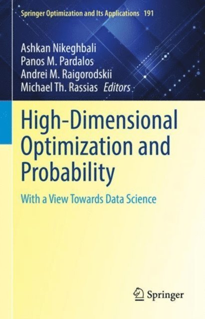 Michael Th. Rassias, Andrei M. Raigorodskii, Panos M. Pardalos, Ashkan Nikeghbali - High-Dimensional Optimization and Probability, E-bok