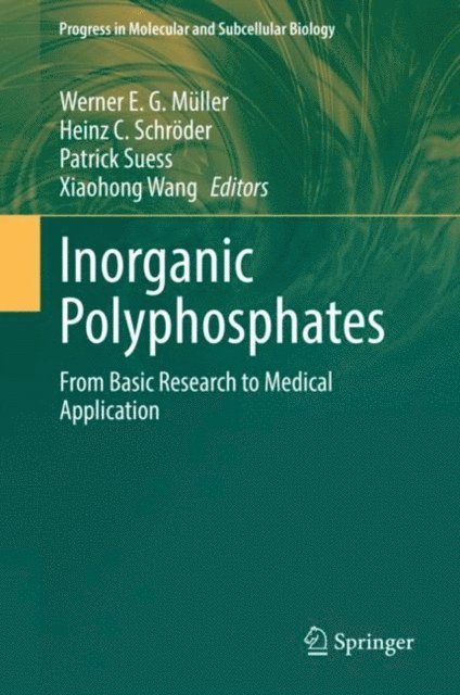 Xiaohong Wang, Patrick Suess, Heinz C. Schroder, Werner E. G. Muller - Inorganic Polyphosphates, E-bok