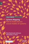 Systems Mapping