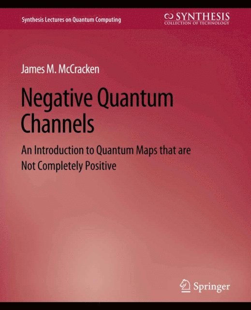 James M. McCracken - Negative Quantum Channels, E-bok