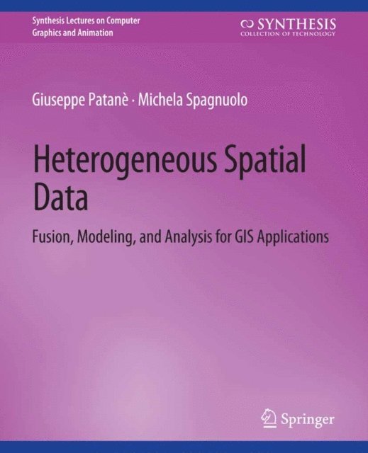 Michela Spagnuolo, Giuseppe Patane - Heterogeneous Spatial Data, E-bok