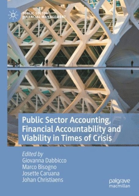 Johan Christiaens, Josette Caruana, Marco Bisogno, Giovanna Dabbicco - Public Sector Accounting, Financial Accountability and Viability in Times of Crisis, E-bok